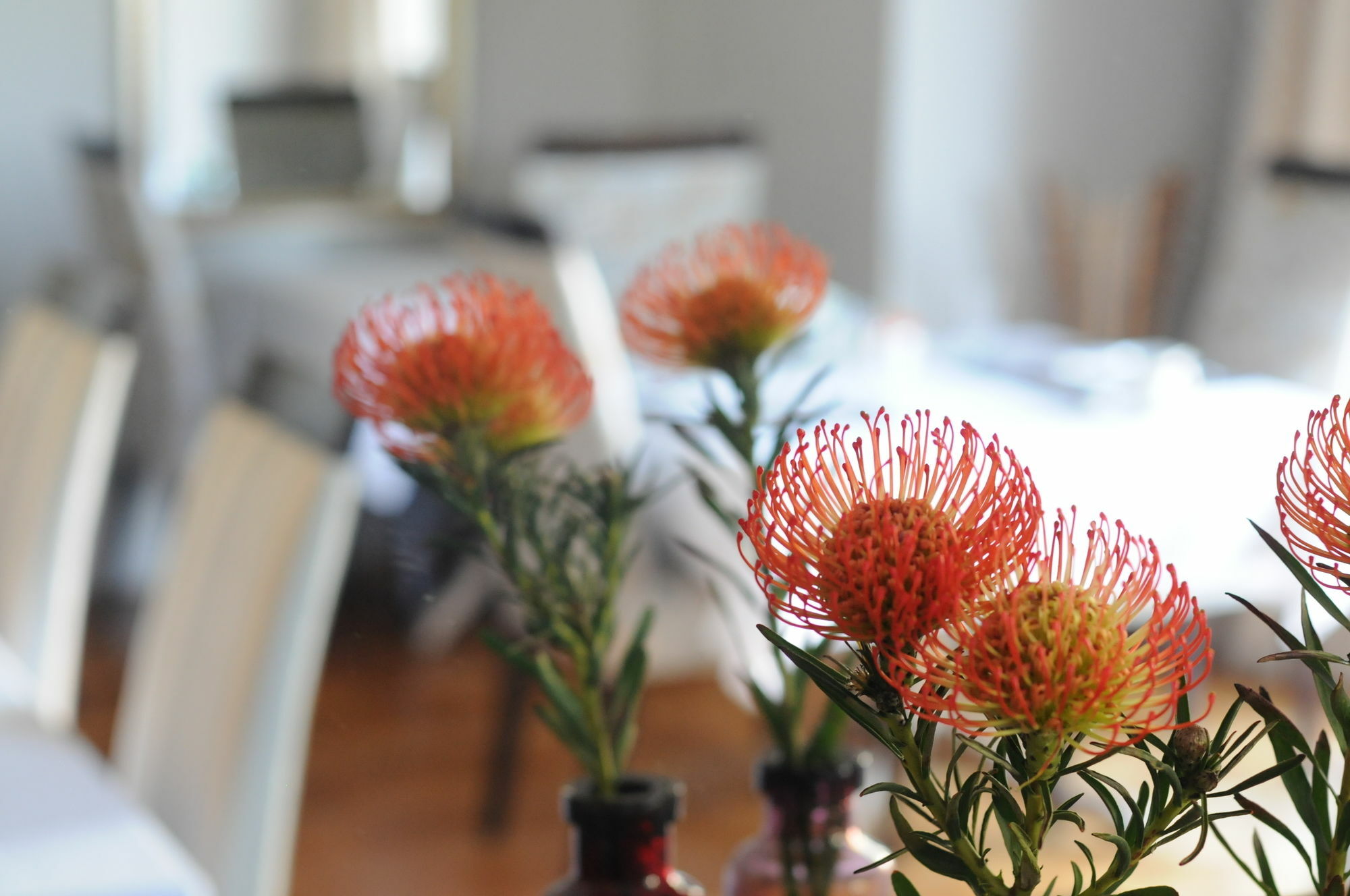 Abbey Manor Luxury Guesthouse Cape Town Luaran gambar